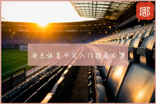 海王体育今日入门指南合集
